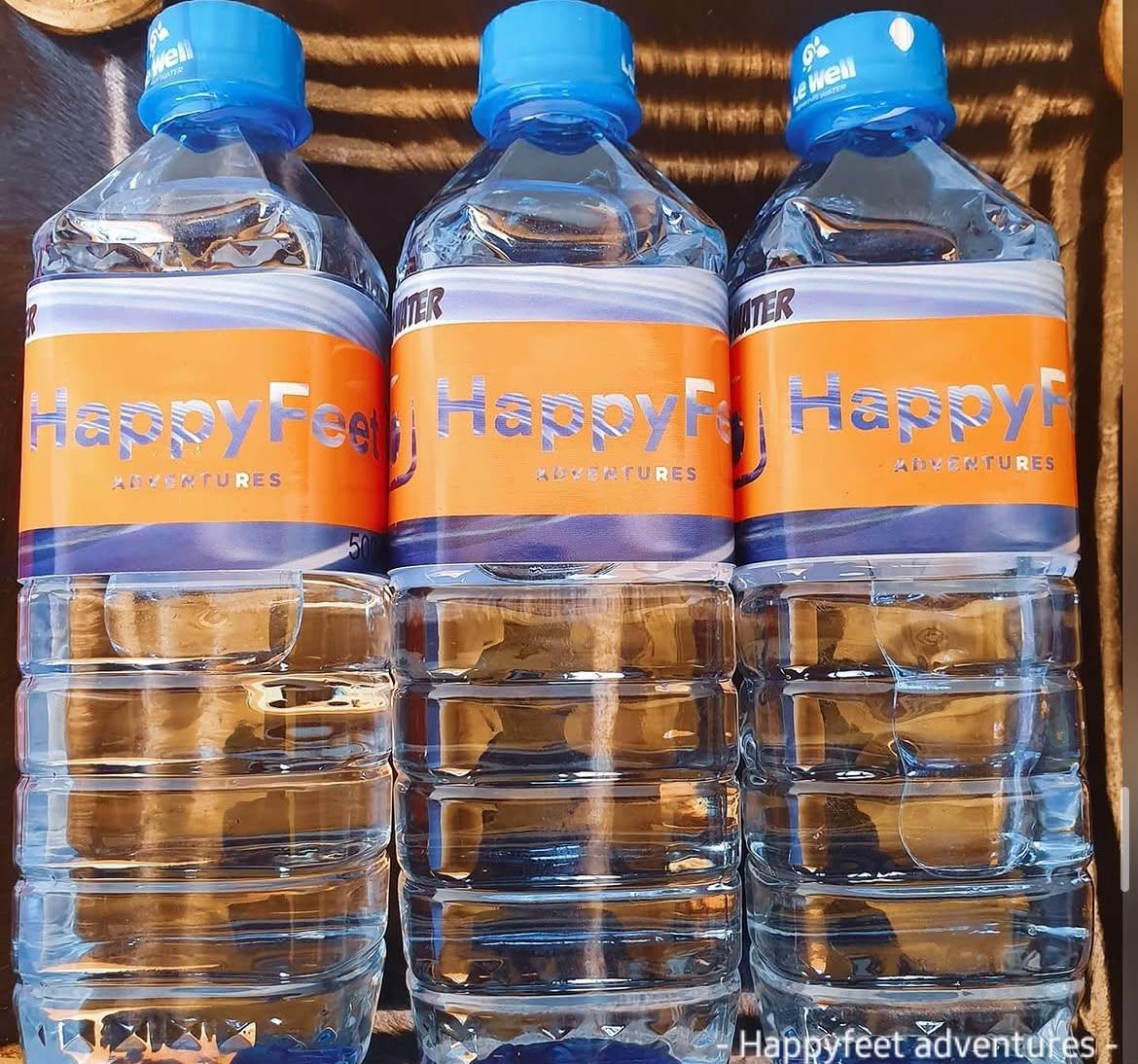 HappyFeet adventure photo 16